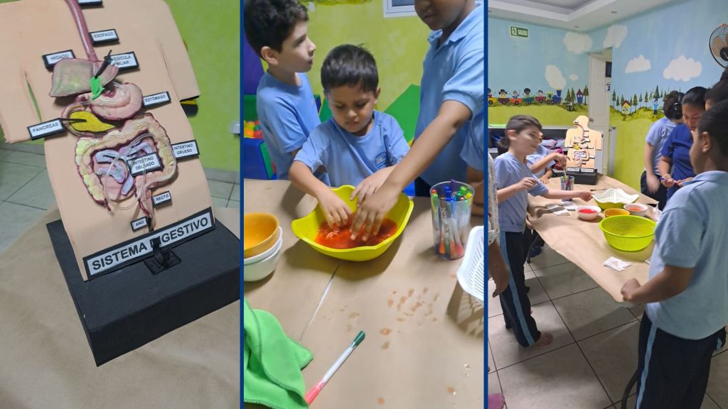 Niños aprendiendo sobre el sistema digestivo con una actividad práctica en Integra Vidas